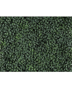 Muro verde Terza