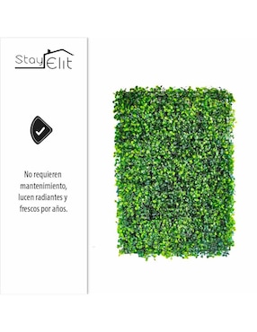 Muro verde Stay Elit