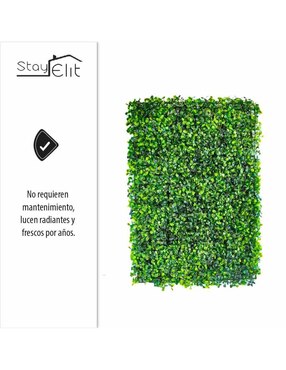 Muro verde Stay Elit