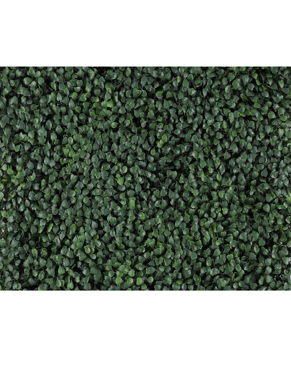 Muro verde 2