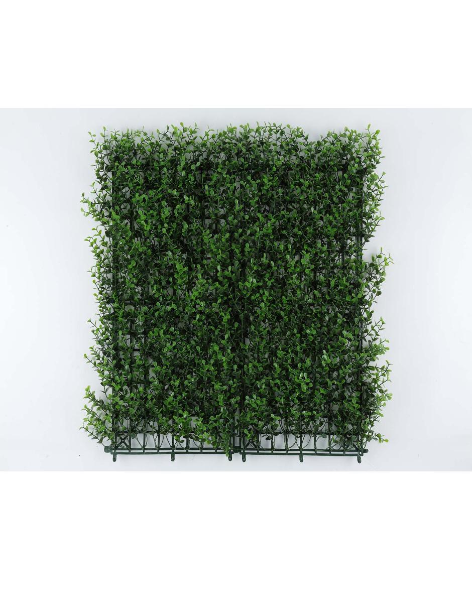 Muro verde 1
