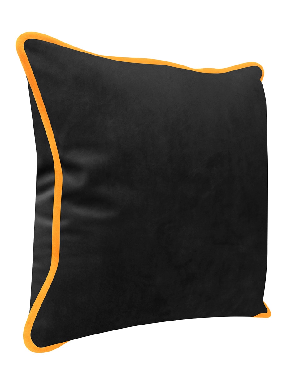 Cojín decorativo Bicolor 2