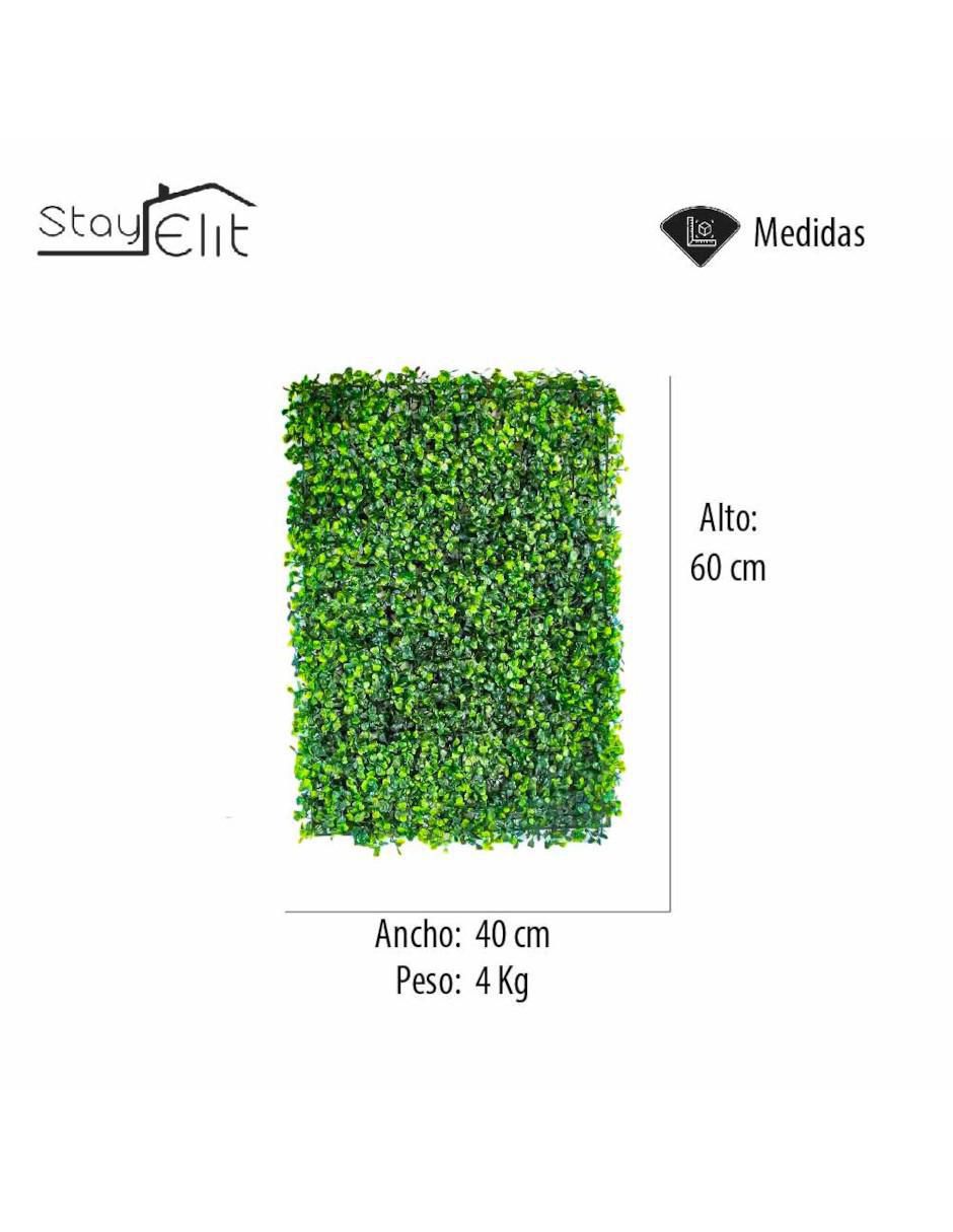 Muro verde 6