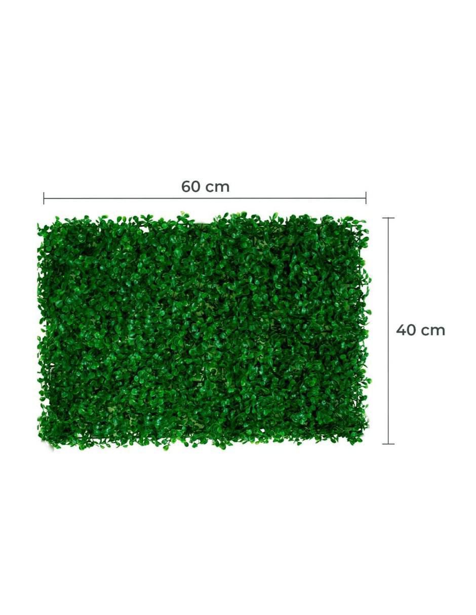 Set muro verde con 5 piezas 6